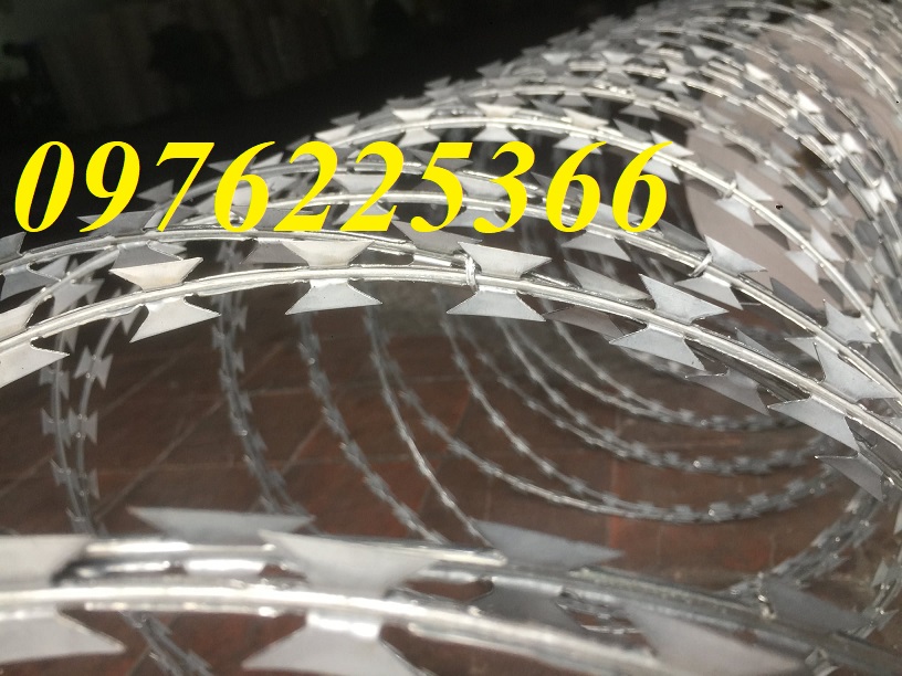 Đại lý dây thép gai hình dao,dây kẽm gai lưới dao tại Hà Nội